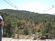 DSCN1339