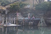 DSC00603