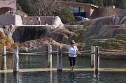 DSC00604