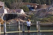 DSC00606
