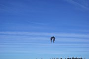 2013-02-02-Pueblo-eagle-fest