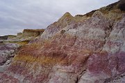 DSC01307