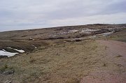 DSC01341