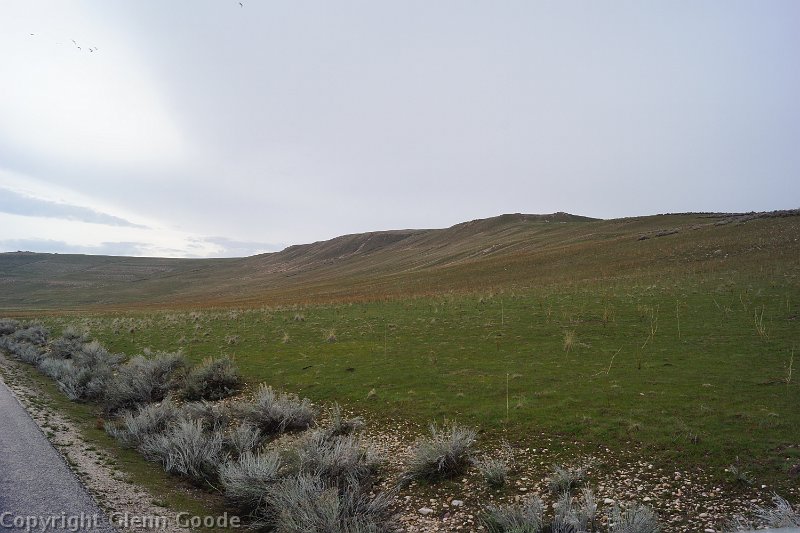 DSC01199