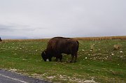 DSC01170